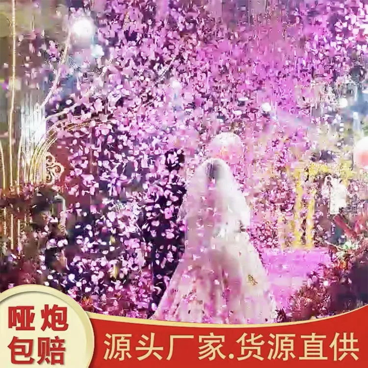 【加量款】安全网罩花瓣雨结婚礼炮礼花筒喷花筒浪漫星河璀璨礼炮筒