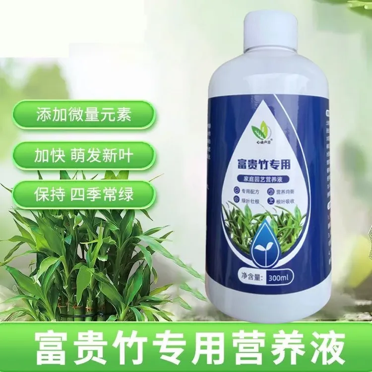 富贵竹专用营养液发财竹观音竹水培植物铜钱草富贵竹营养液