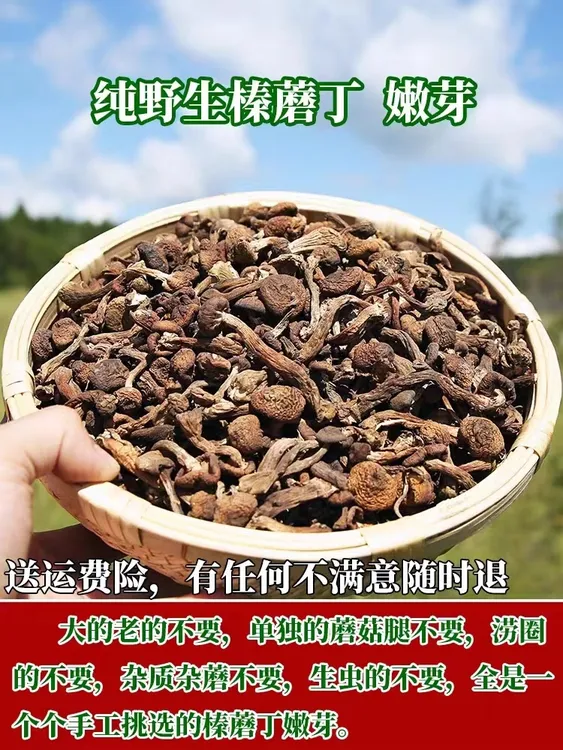 东北特产榛蘑挑选头茬榛蘑天然生长自然晒干本地特产食用炖肉煲汤