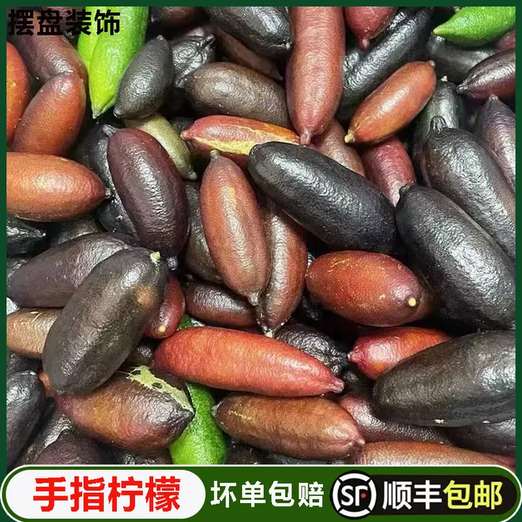 手指柠檬 鲜果稀有澳洲品种指橙鱼子酱50g指橘不常见水果西餐食材