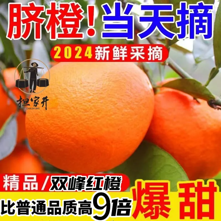 担家井 双峰红橙
