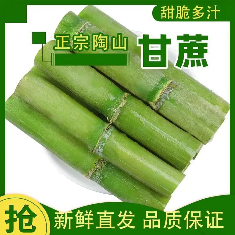 正宗陶山甘蔗绿皮新鲜高端水果清甜爽口3斤5斤皮薄汁水多产地直发