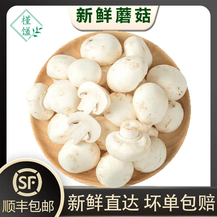 槿馐新鲜白蘑菇250g-2500g 食用菌菇烧烤蘑菇 双孢菇煲汤炒菜顺丰