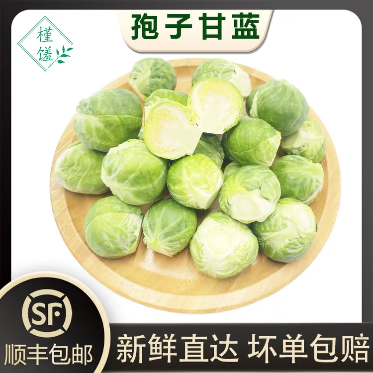槿馐孢子甘蓝1-5斤 新鲜蔬菜 抱子甘蓝球芽甘兰小包菜小卷心菜