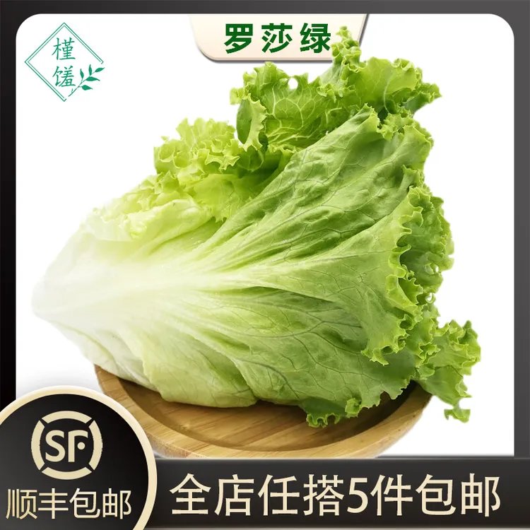 槿馐罗莎绿250-500g花边生菜花叶新鲜蔬菜沙拉食材 源头农场种植
