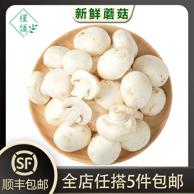 槿馐新鲜白蘑菇250g-500g 食用菌菇 网红烧烤蘑菇 双孢菇煲汤炒菜