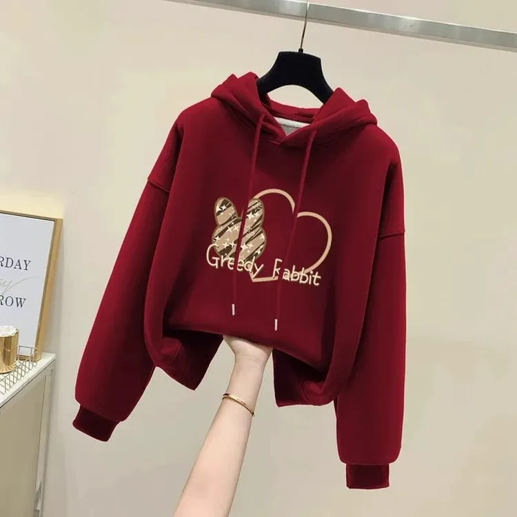 设计感小众秋冬新款2026加绒加厚套头连帽卫衣女短款宽松韩版外套