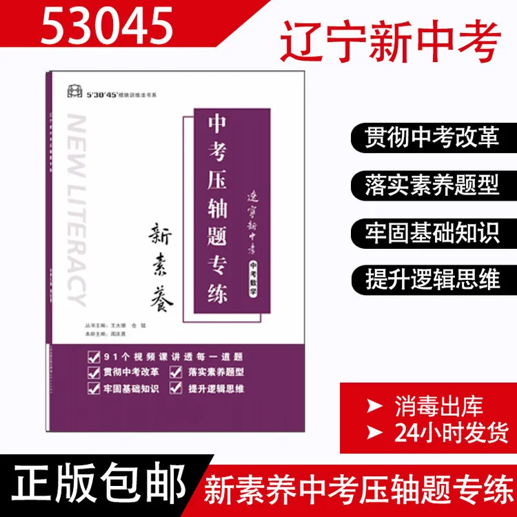 53045数学中考压轴题专练