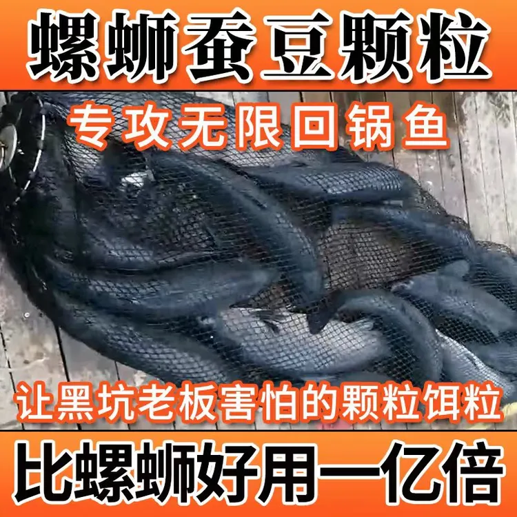 颗粒界扛把子新款大物打窝青鱼蚕豆颗粒皮筋挂钩饵料青鱼颗粒饵料