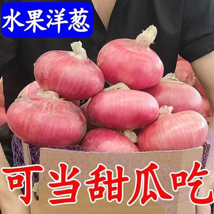 鲁念【官方正品】山东二红扁葱肉厚多汁新鲜水果洋葱生吃甜脆土特产
