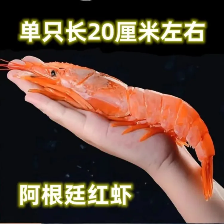 【小宫专属】L1刺身阿根廷红虾海捕大虾净重量2K虾肉鲜嫩冷冻黑虎