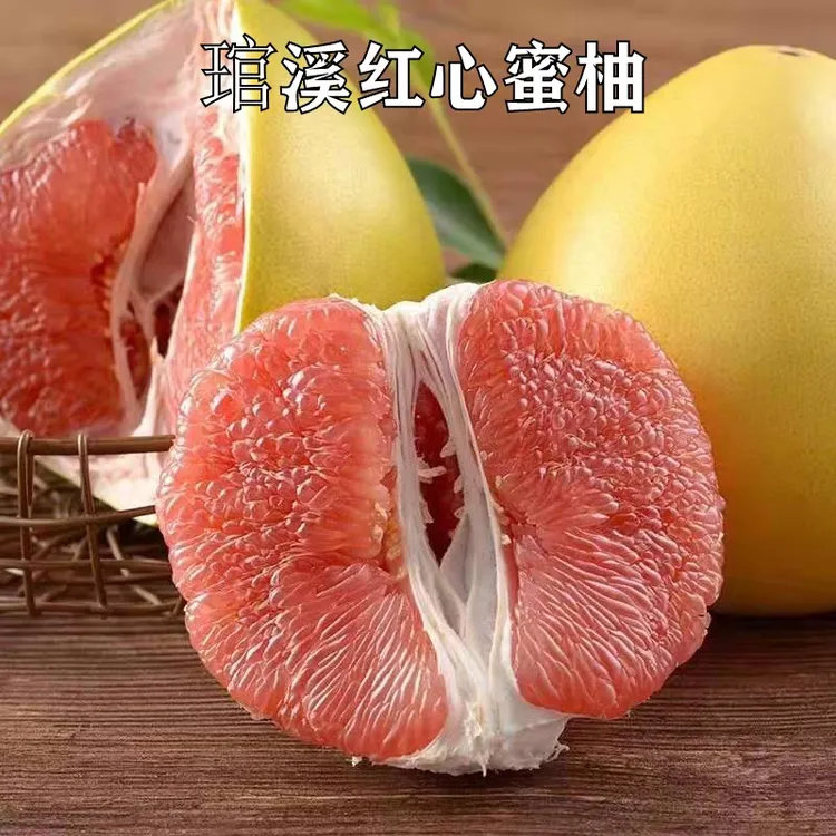新品种红心柚子树苗嫁接苗当年结果特大琯溪红肉蜜柚沙田柚子苗