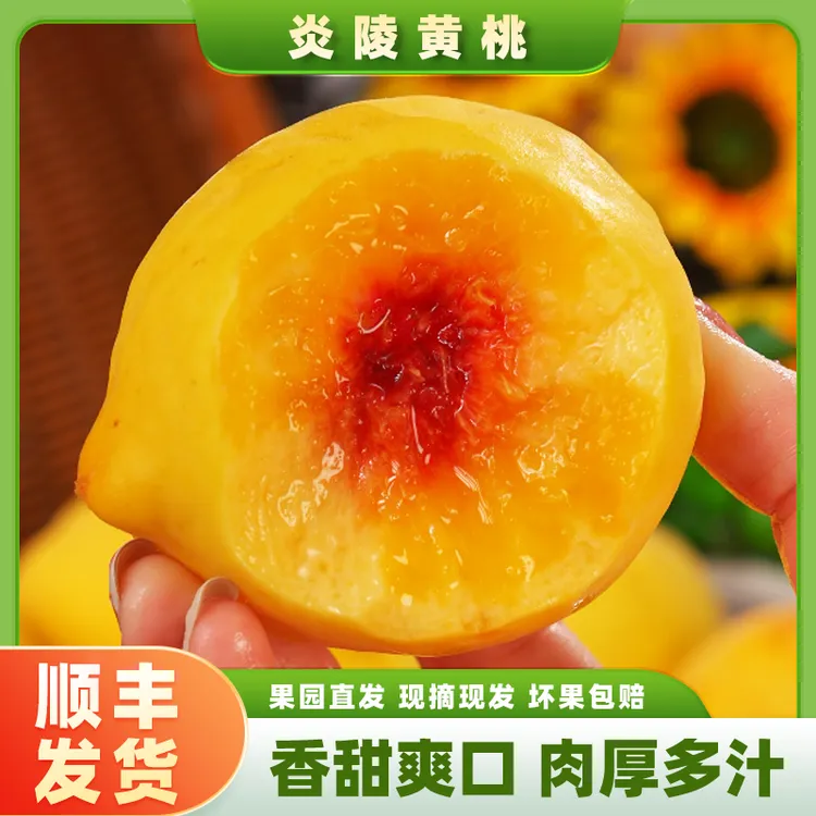 【顺丰】正宗炎陵黄桃新鲜自然成熟应季桃子产地直发脆甜多汁3斤起