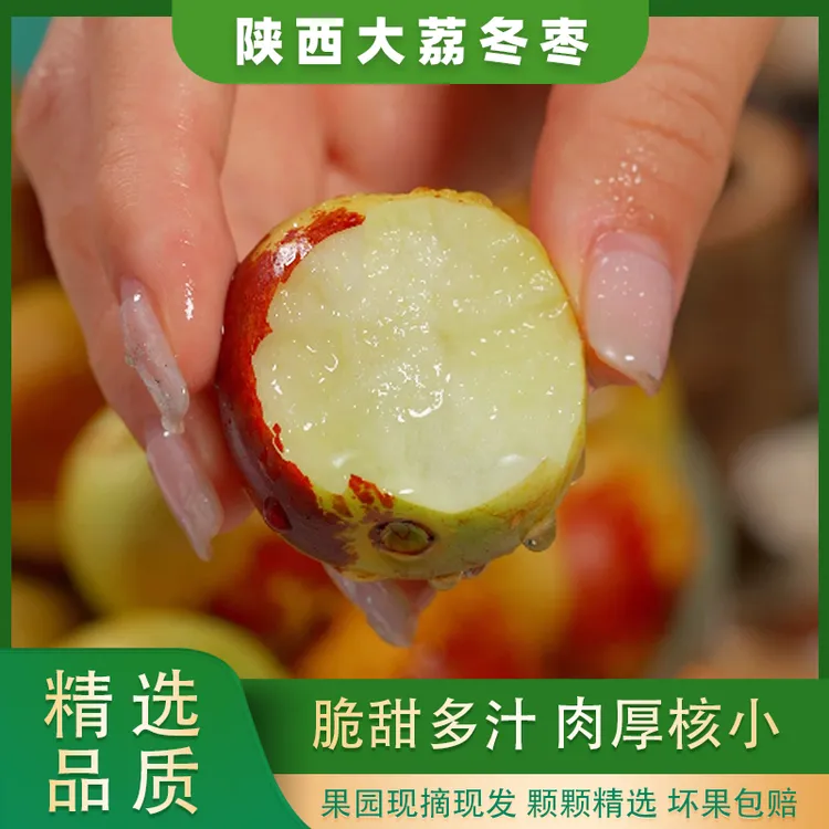 新鲜陕西大荔冬枣应季新鲜水果冰糖枣脆甜多汁现摘现发精选2斤装