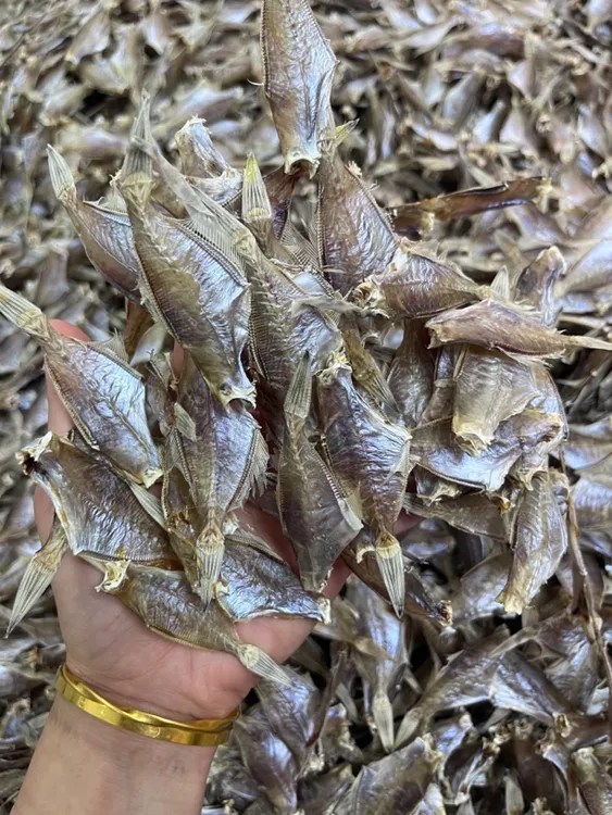 剥皮鱼干 迪仔鱼干 淡口 天然日晒大条鱼干