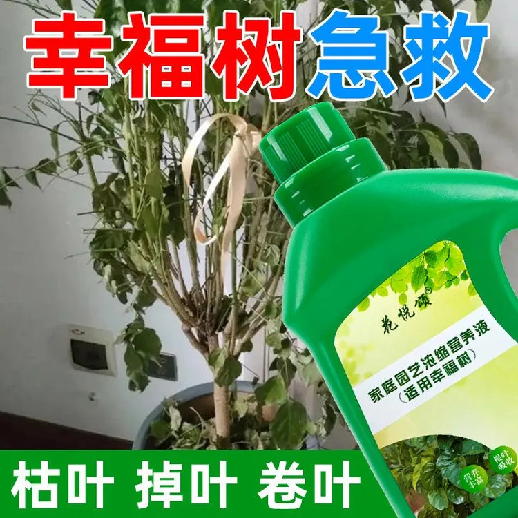 【拍一发三】幸福树营养液通用促生根黄叶急救室内盆栽绿植专用肥
