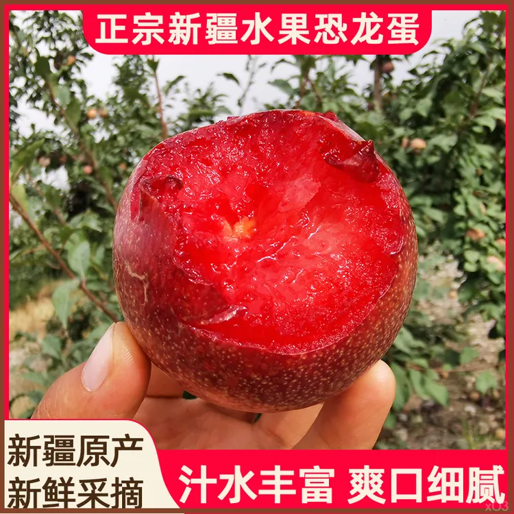 【顺丰空运】新疆恐龙蛋杏李子玫瑰新鲜当季水果甜红布林孕妇1/4斤