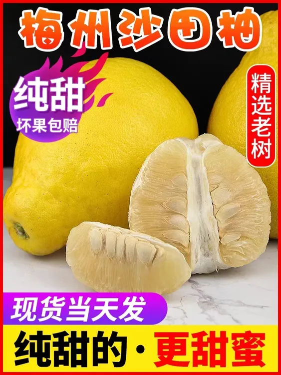 【有机水果】梅州金柚梅县沙田新鲜当季孕妇水果纯甜果园直发非容县