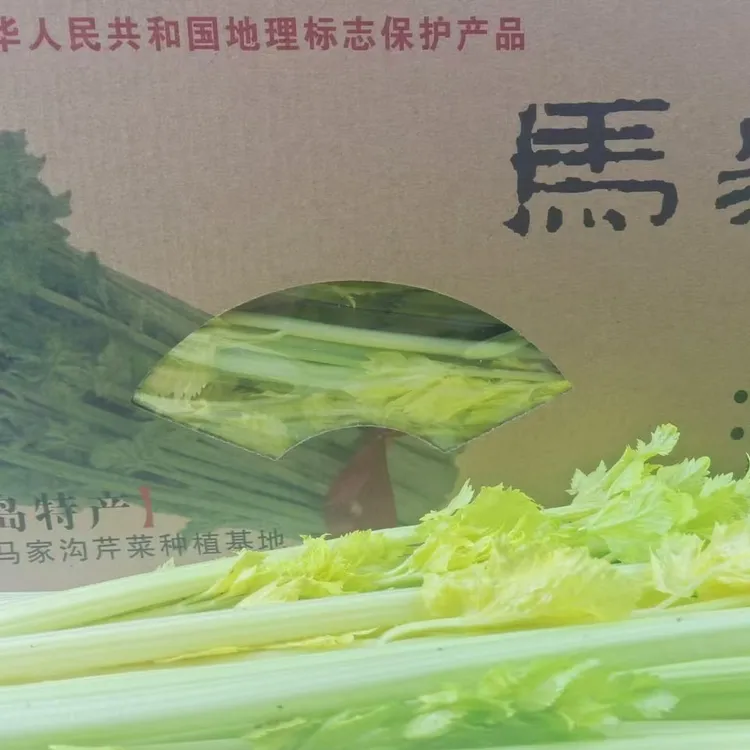 【精品菜芯】平度空心无筋精品马家沟芹菜2斤4斤礼盒清脆新鲜黄心