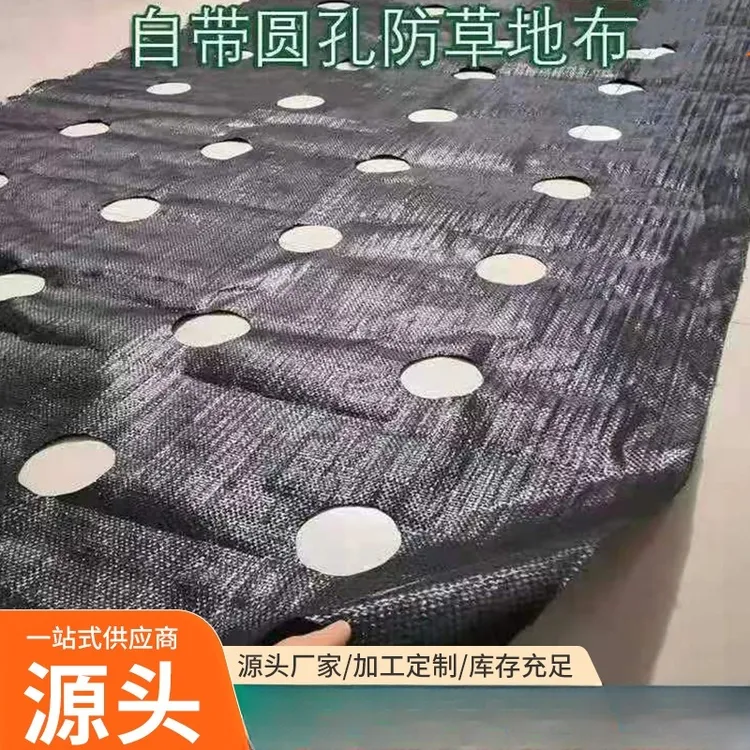 防草布批发除草布耐用蔬菜药材打孔专用新型农用保湿生态PP黑地膜