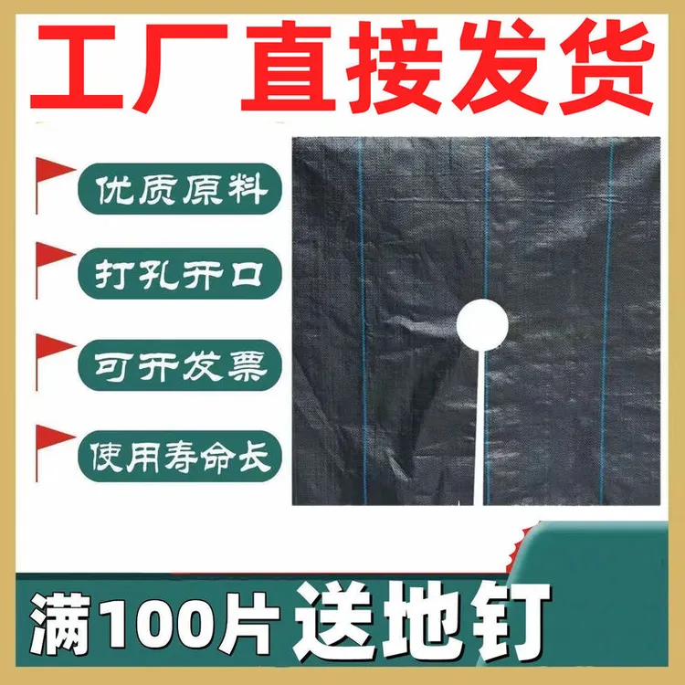 【加厚耐用】果树打孔防草布批发防草布厂家直销除草布保湿农用果园商品图
