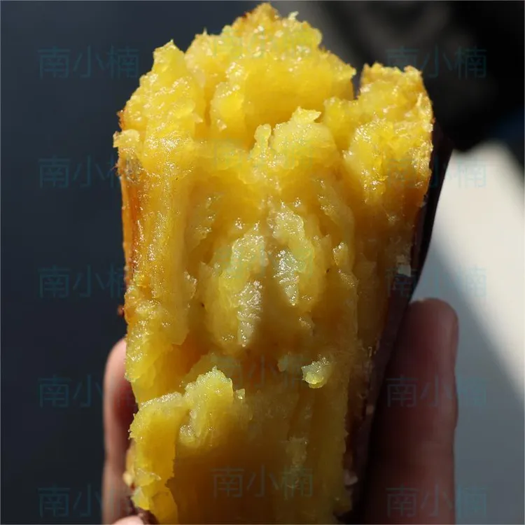 【坏果包赔】正宗海南榴莲蜜薯软糯香甜好吃3/5斤装果味浓郁