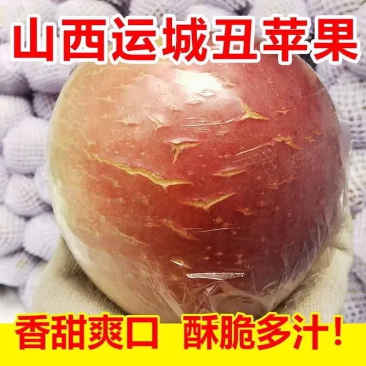 【山西丑苹果】黄土高坡苹果新鲜采摘净重5斤9斤装红富士苹果