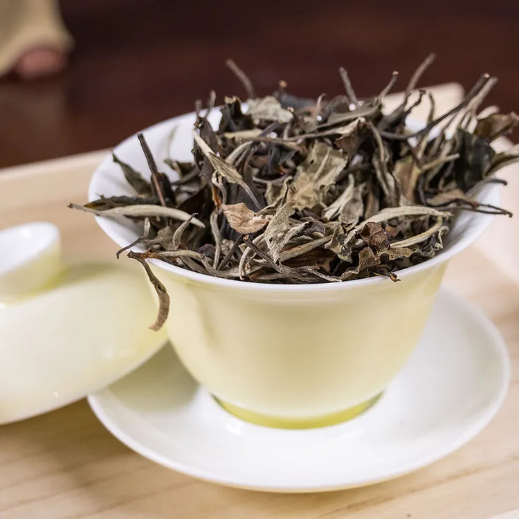 月光美人一芽两叶白牡丹花果香散茶叶高山老树