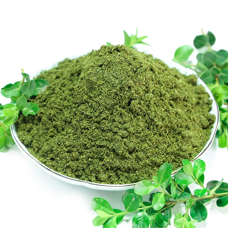 正宗甘肃新货香豆粉苦豆粉每瓶100g（到手2瓶装）