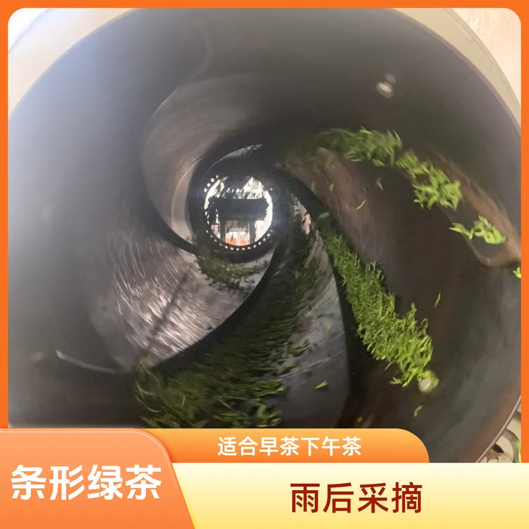 东阳春无公害认证花香或豌豆鲜好茶