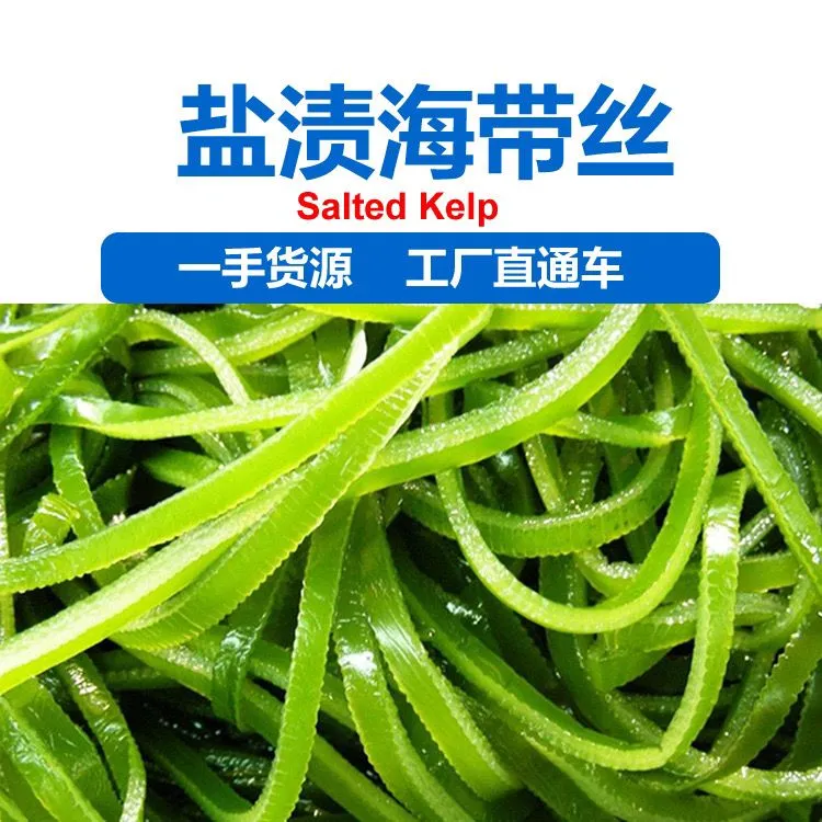 【大连优质海带丝】正宗大连盐渍海带丝凉拌火锅鲜嫩干净营养