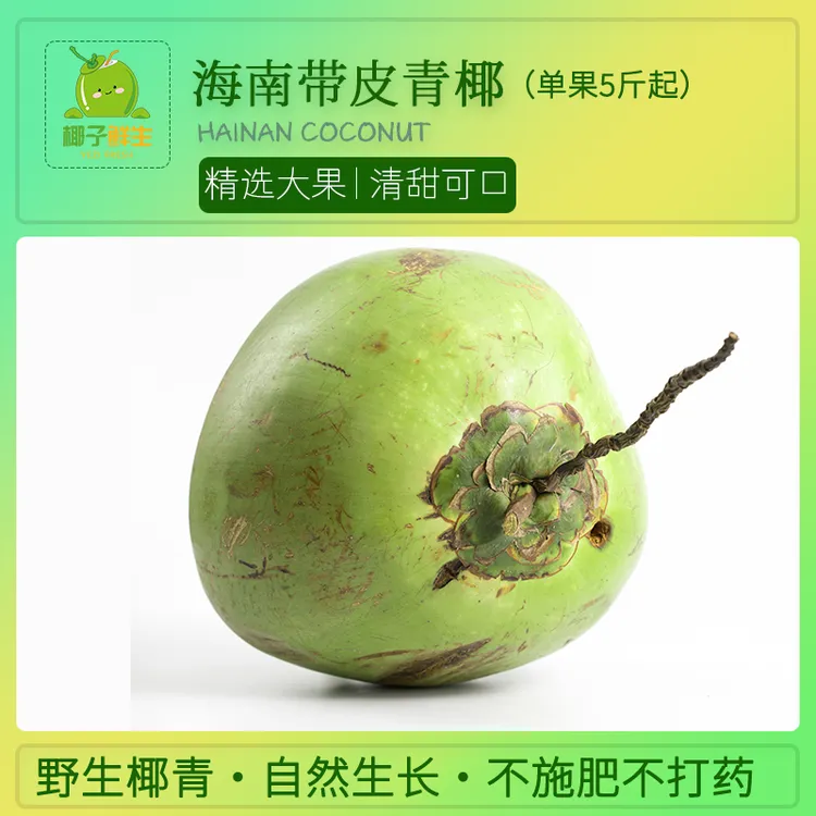 【坏果包赔】海南带皮青椰5个东郊椰林新鲜现摘椰青嫩椰子孕妇水果