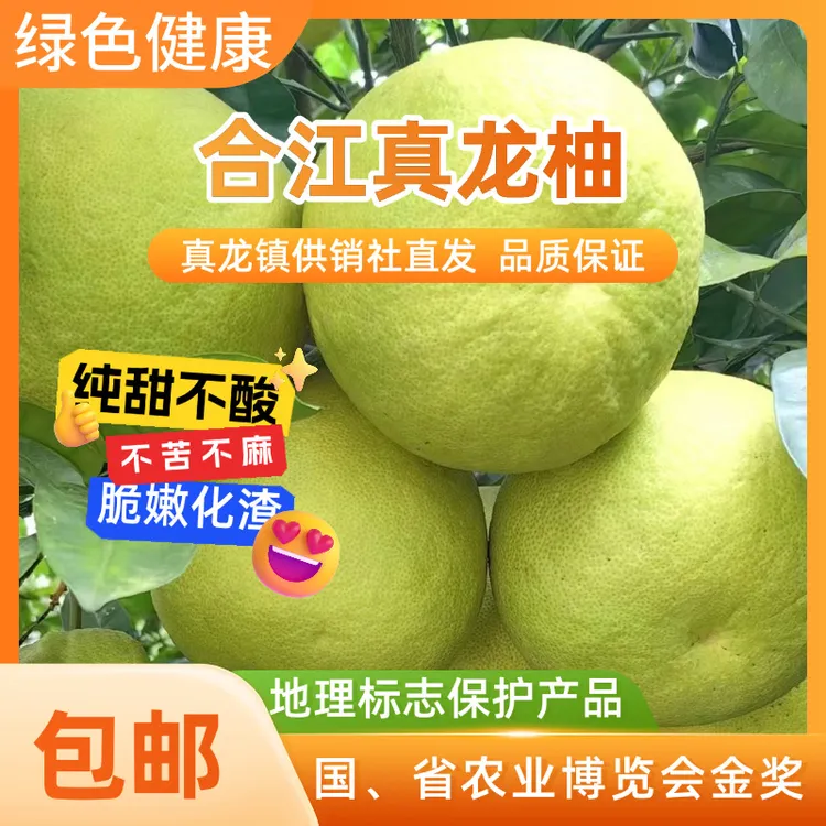 四川泸州合江真龙柚纯甜不酸新鲜水果白心柚非沙田柚产地直销柚子