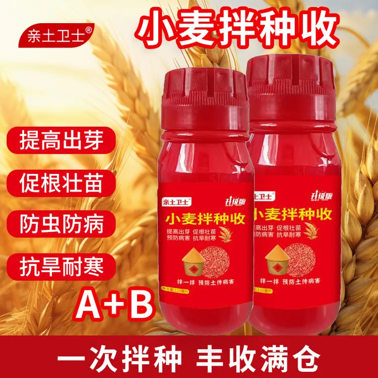 小麦拌种收A+B预防地上地下害虫土传病害