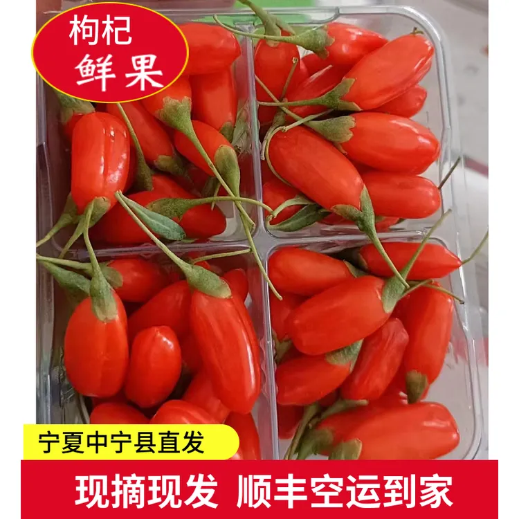 宁夏中宁鲜枸杞头茬鲜果新货枸杞 顺丰包邮冷链发货