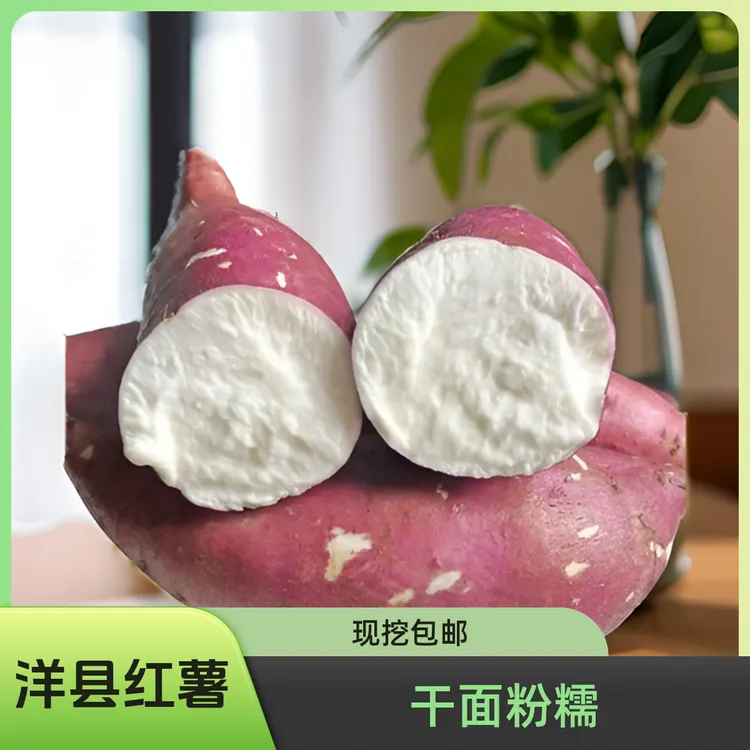 陕西洋县红薯槐树关红薯番薯蜜薯现挖新鲜红薯粉糯香甜面5斤包邮