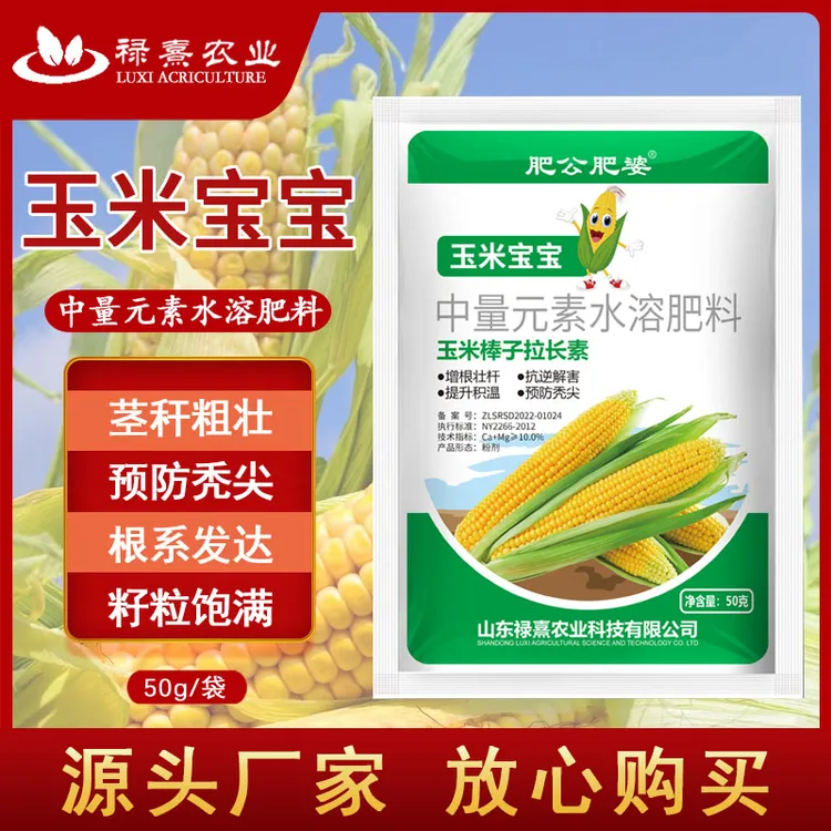 玉米宝宝玉米专用籽粒饱满生根壮苗抗倒伏增产氨基酸叶面肥
