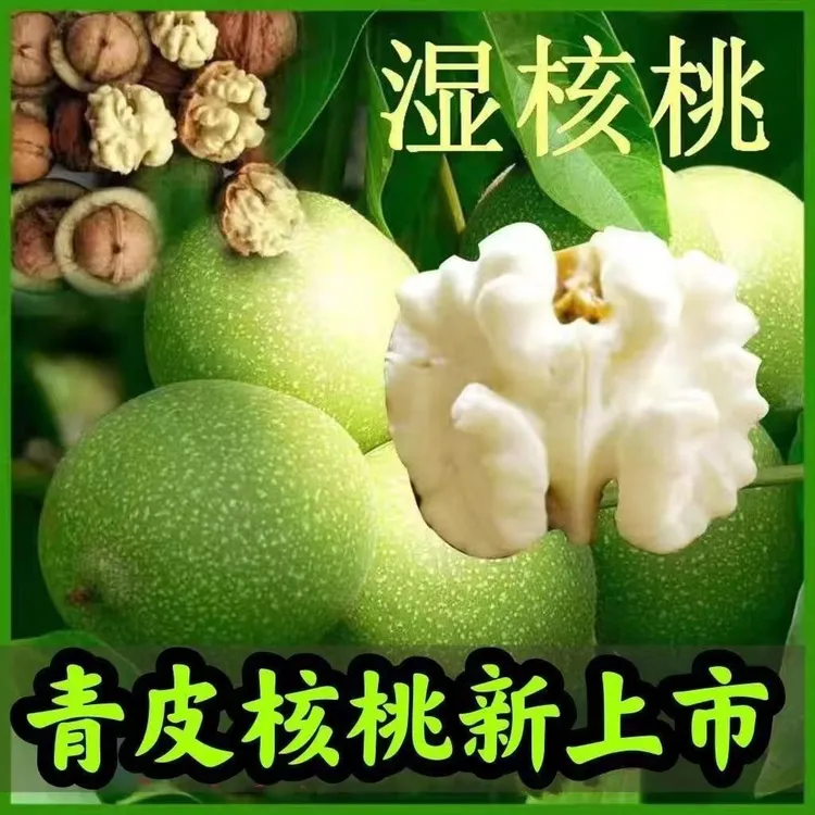 2025青皮绿皮核桃五斤包邮