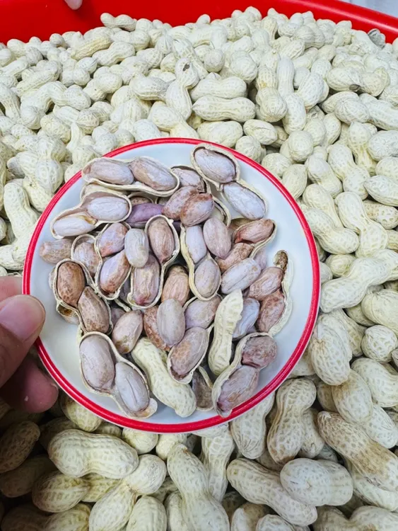 农家本地日晒咸香花生