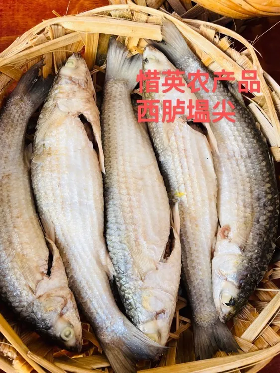 西胪半咸水尖头鱼饭