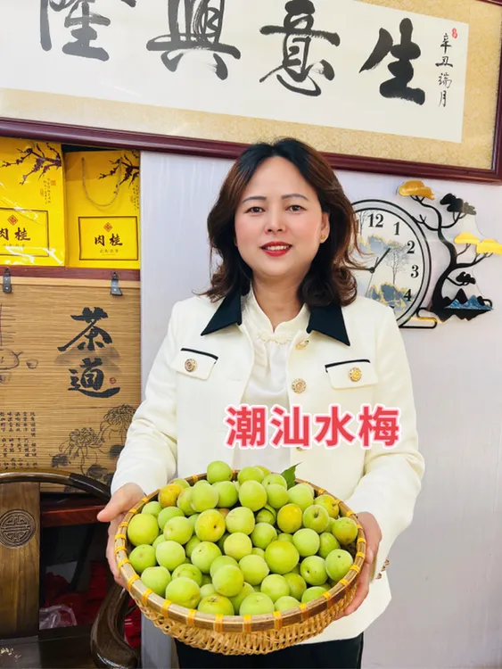 潮汕本地新鲜采摘生水梅