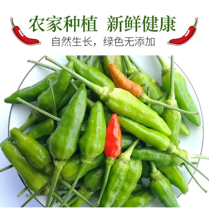 新鲜野山椒小米辣椒指天椒朝天椒老坛泡椒广西现摘发包邮半斤-5斤