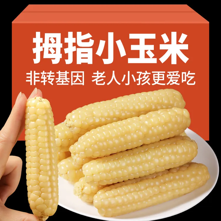 糯玉米手拇指小玉米迷你袖珍糯香甜西双版纳老品种拇指玉米即食