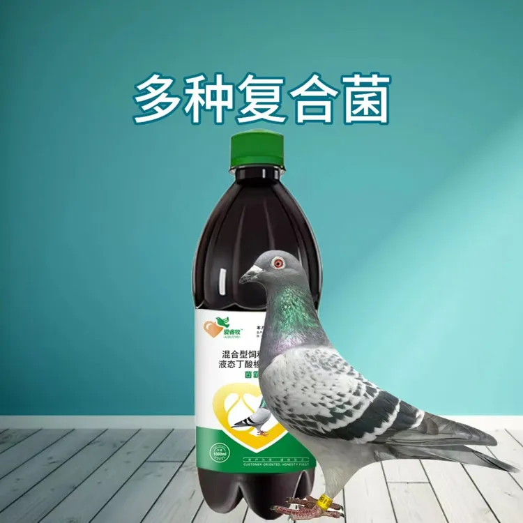 赛鸽信鸽 J 霸道多种活菌调节