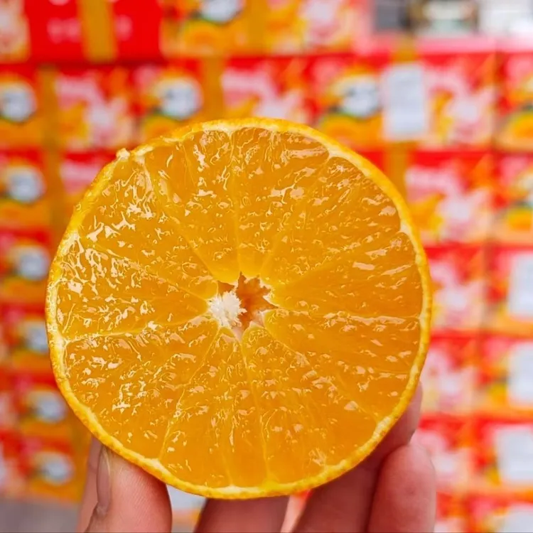 【于水霞专属】四川正宗爱媛38号果冻橙皮薄香甜多汁新鲜爆汁