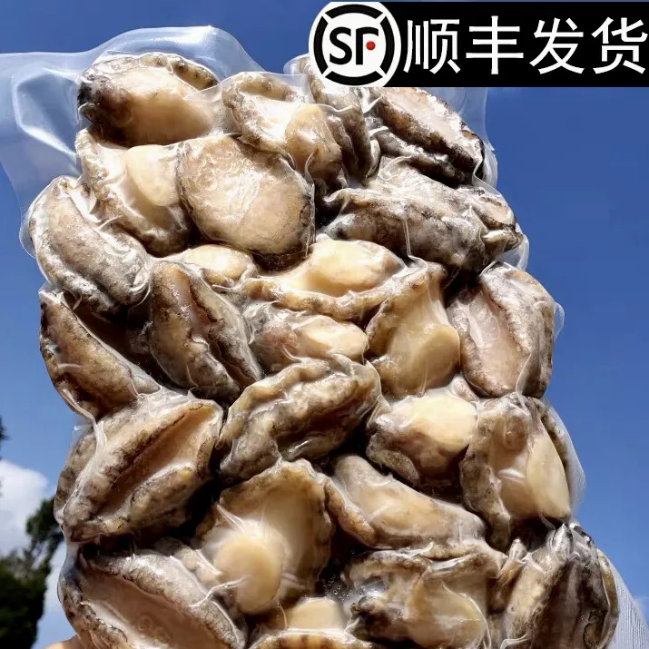 去壳去内脏熟冻精品鲍鱼肉 佛跳墙食材烧烤煲汤辣炒多用途500克
