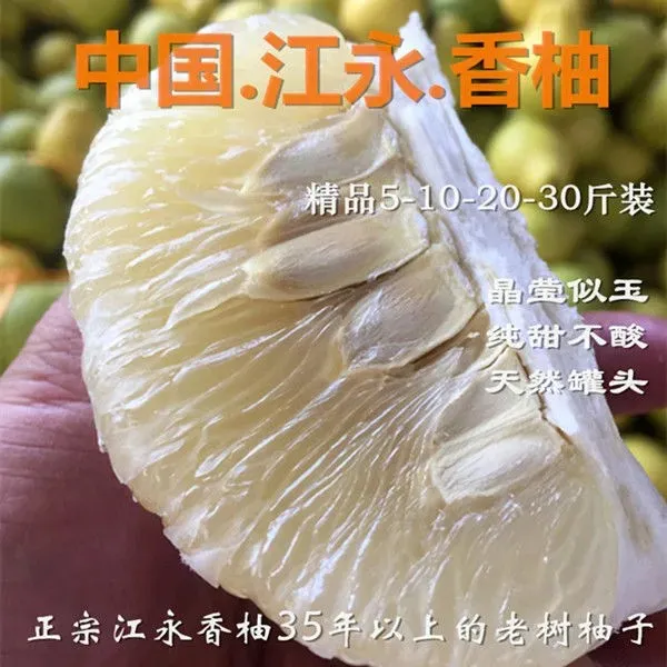 湖南江永香柚正宗江永老树柚子沙田柚新鲜纯甜无酸整箱批发发货