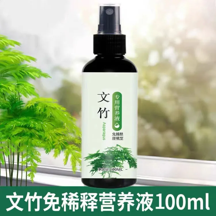 文竹专用营养液根部叶尖发黄干枯掉叶子烂根促芽生根生长变绿