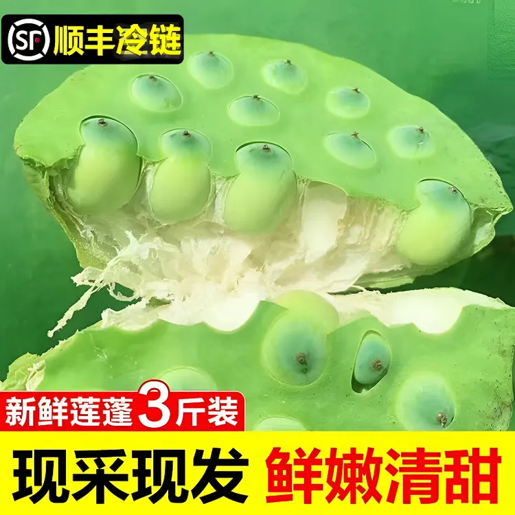 【顺丰】洪湖新鲜莲蓬 现摘现发清甜鲜嫩当季水果莲蓬 嫩莲子4斤
