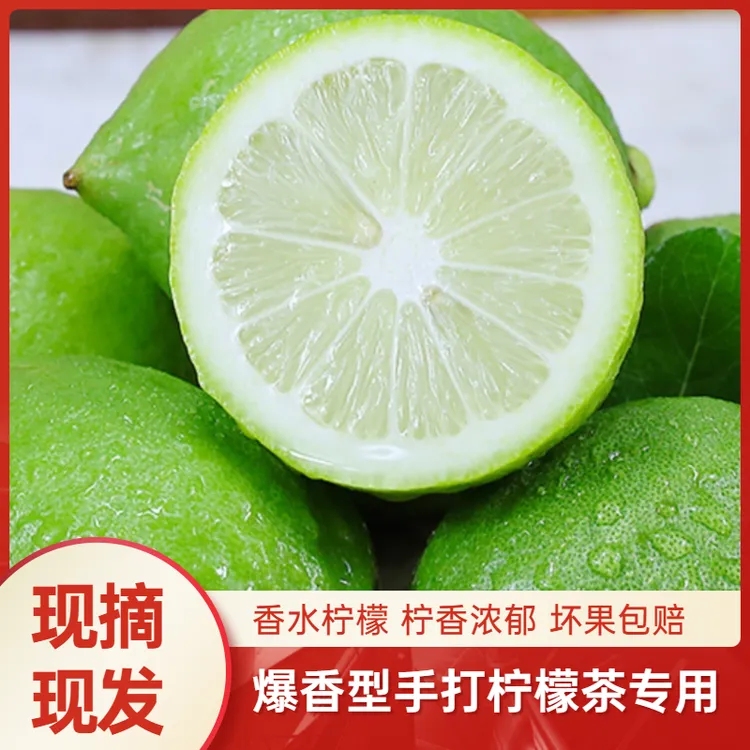 广东香水柠檬青柠檬无籽柠檬自制手打柠檬果园 新鲜批发
